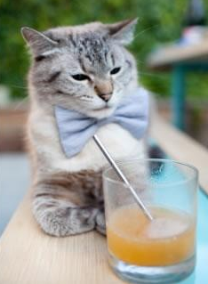 _布鲁克林街舞赛：青春街头文化典范_，布鲁克林的街区