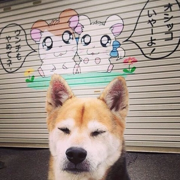 “中超新赛季全面启动，众多豪门强势出击”，中超新赛季规则