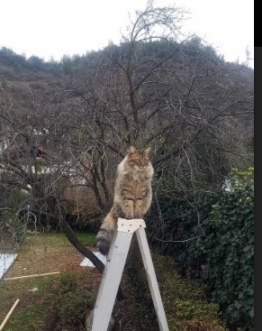 运动装备研发投入分析,运动装备市场分析