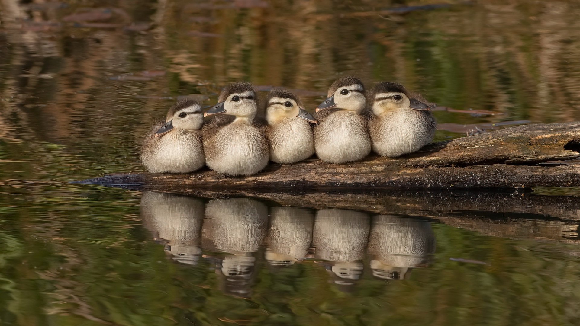 开云体育安全平台-“高新体育中心武术比赛：看选手如何在短短数秒间决胜负”
